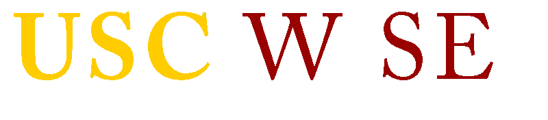 WiSE Logo White Transparent
